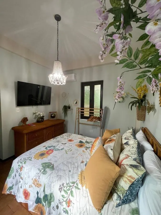 The Garden Apartment, The Willow Apartment, & The Tropical Apartment At Casa Of Essence In Old San Juan