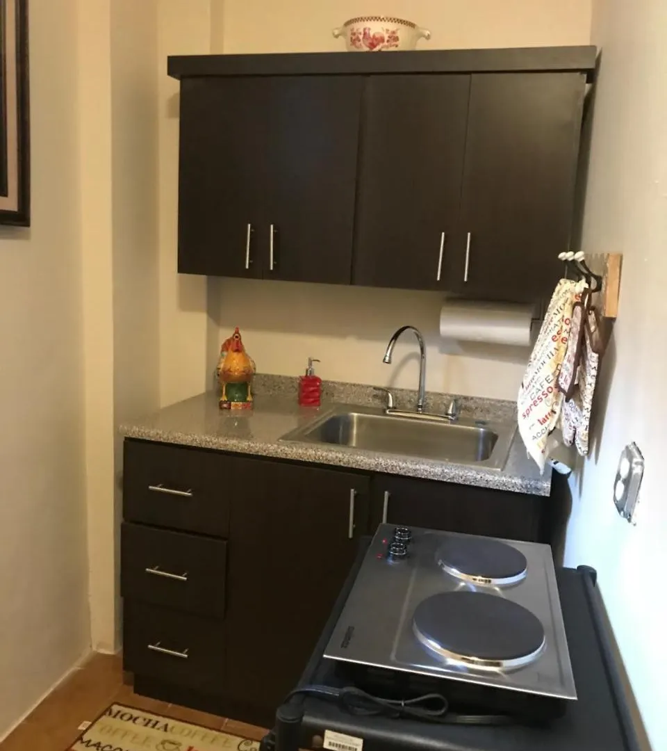 The Garden Apartment, The Willow Apartment, & The Tropical Apartment At Casa Of Essence In Old San Juan