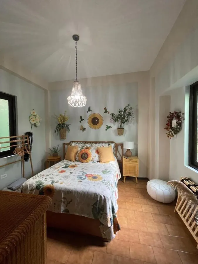 The Garden Apartment, The Willow Apartment, & The Tropical Apartment At Casa Of Essence In Old San Juan
